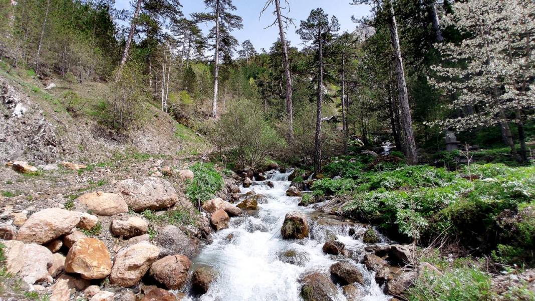 Konya’yı besleyen barajlardaki doluluk oranı ne? 1